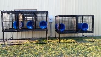 Kennel Portable